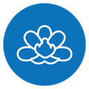 Moth orchid icon