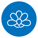 Moth orchid 2 icon