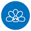 Moth orchid icon
