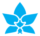 Moth orchid icon