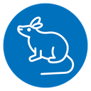 Mouse animal icon