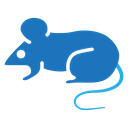 Mouse animal Color Filled icon