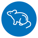 Mouse animal icon
