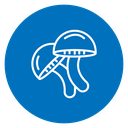 Mushroom 2 icon