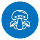 Mushroom 3 icon