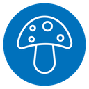 Mushrooms icon