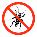 No parasitic insects sign icon