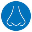 Nose icon