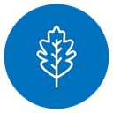 Oak Leaf 2 icon