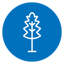Oak Leaf icon
