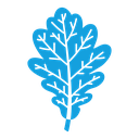 Oak leaf with veins icon