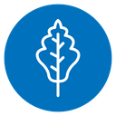 Oak Leaf icon