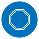 Octagon 2 icon