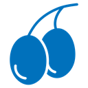 Olive icon