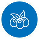 Olive 3 icon