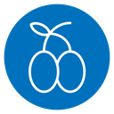 Olive icon