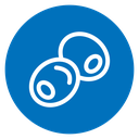 Olive icon