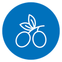 Olives 2 icon