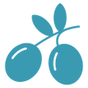 Olives 4 icon