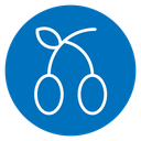 Olives Color Filled icon