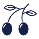 Olives icon