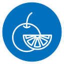 Orange fruit icon