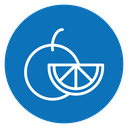 Orange fruit icon