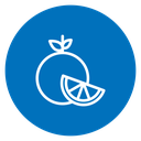 Orange Fruit Slice icon