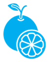 Orange fruit icon