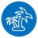 Palm tree 4 icon