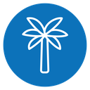 Palm tree icon
