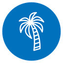 Palm Tree icon