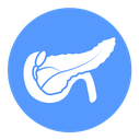 Pancreas Color Filled icon