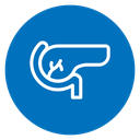 Pancreas icon