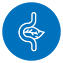 Pancreas icon