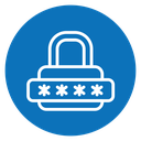 Password icon