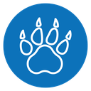 Paw icon