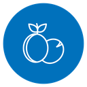 Peach Fruit icon