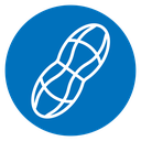 Peanut icon