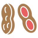 Peanut icon