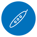 Peapod 2 icon