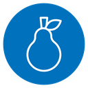 Pear icon