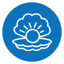 Pearl in the open shell icon