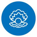 Pearl Oyster icon