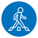 Pedestrian icon