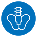 Pelvic area icon