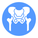 Pelvic area Color Filled icon