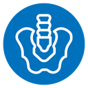 Pelvic area icon