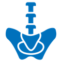 Pelvic area icon