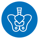 Pelvis icon